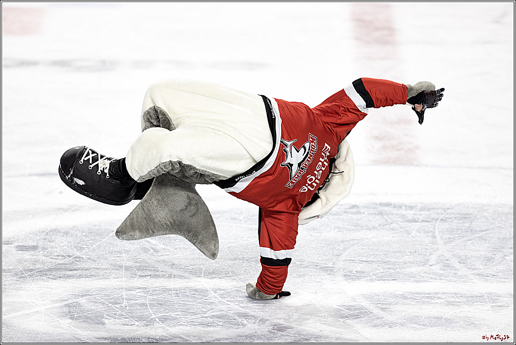 PENNY DEL;  Koelner Haie - Iserlohn Roosters; Koeln, 20.02.2022